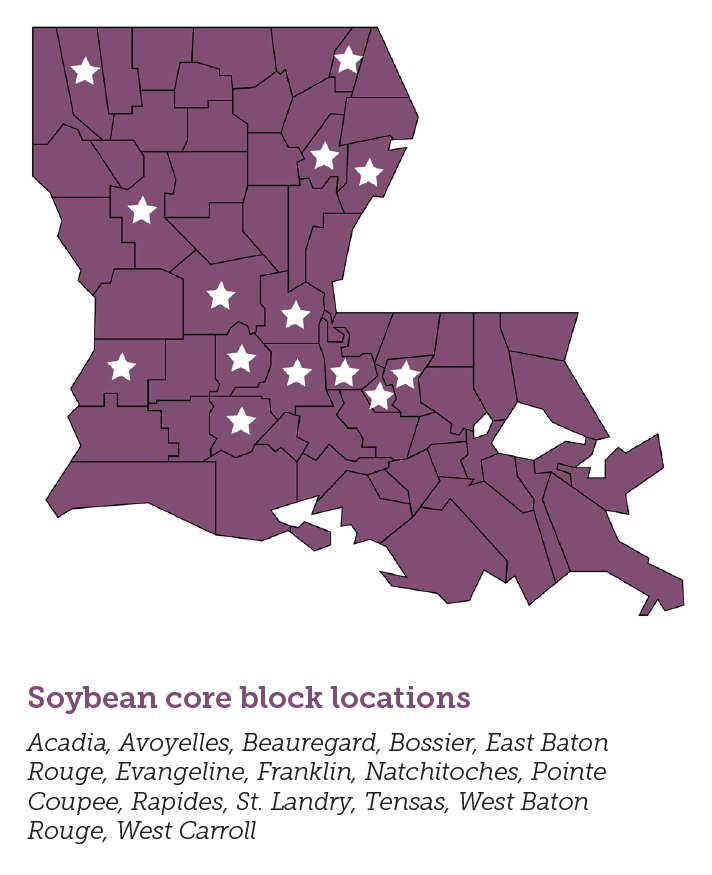 LSU AgCenter Conducts Soybean Variety Trials and On-farm Demonstration Plots